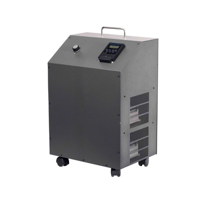 2020 Commercial China Commercial O3 Sterilizer Commercial Disinfect Swing Swimming Pool Ozone Machine Generator